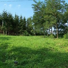 Click thumbnail to see all images Vasszentmihály: Building site in the outskirts