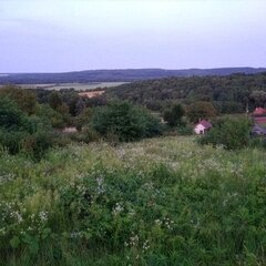 Lenti: Huge vineyard with small cottage. Residence permit possibler